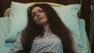 Bohaterowie serialu Dziedzictwo, emitowanego na antenie TVP 1