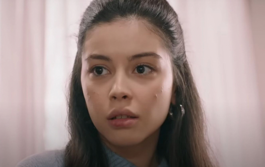 Bohaterowie serialu Wichrowe wzg&oacute;rze emitowanego na antenie TVP1