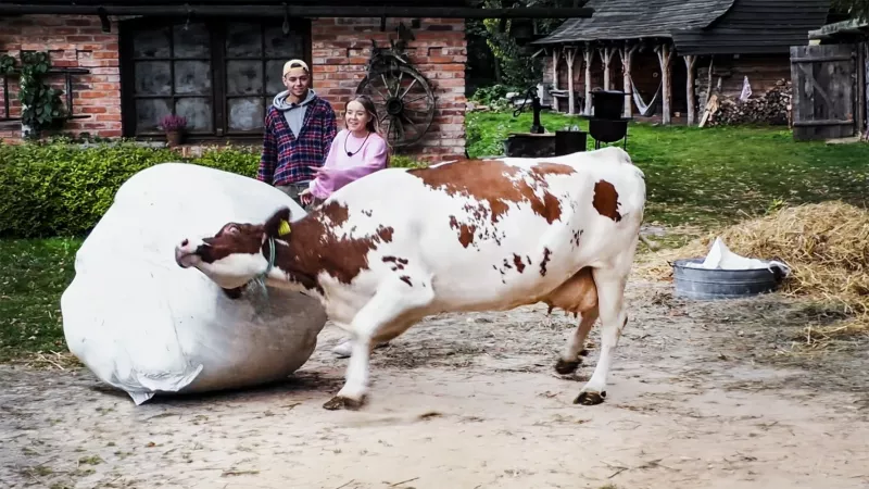 Obrazek w treści Farma - co wydarzy się w 9 i 10 odcinku nowego reality show od Polsatu?  [jpg]