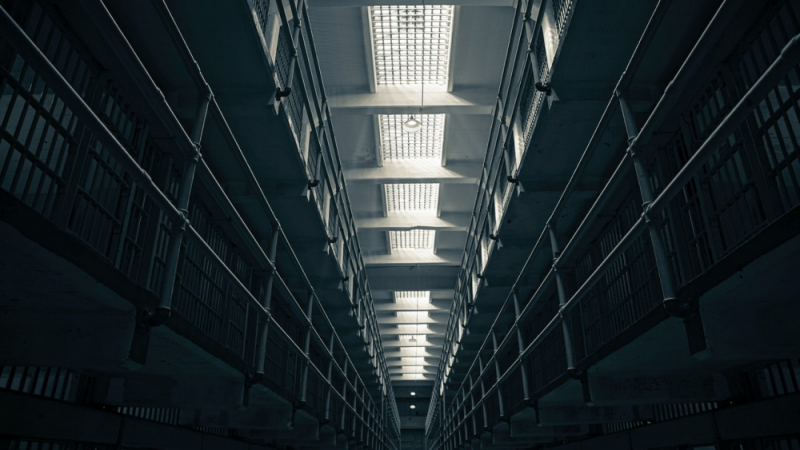 Obrazek w treści Niemal 10 tysięcy książek trafiło do więziennych bibliotek [jpg]