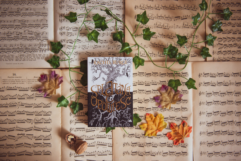 Obrazek w tre�ci Czasem wystarczy chwila, by nasze �ycie zmieni�o si� o sto osiemdziesi�t stopni. „Spl�tana opowie�� Rachel Burge [jpg]