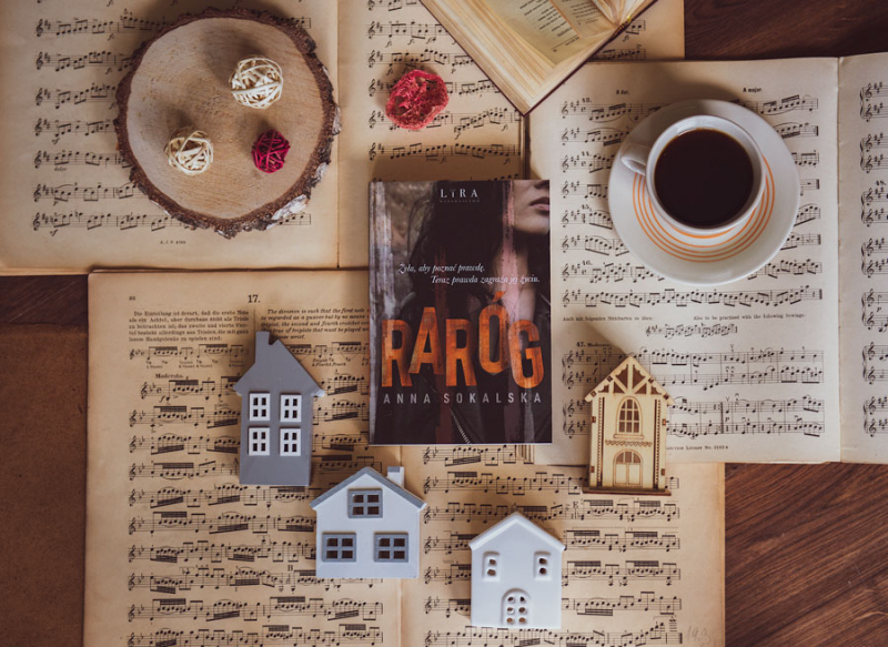 Obrazek w treści Żadnych śladów. Fragment książki „Raróg [jpg]