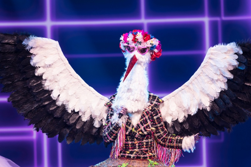 Obrazek w treści Mask Singer &ndash; już dziś p&oacute;łfinał! Co wydarzy się w 9 i 10 odcinku programu?&nbsp; [jpg]