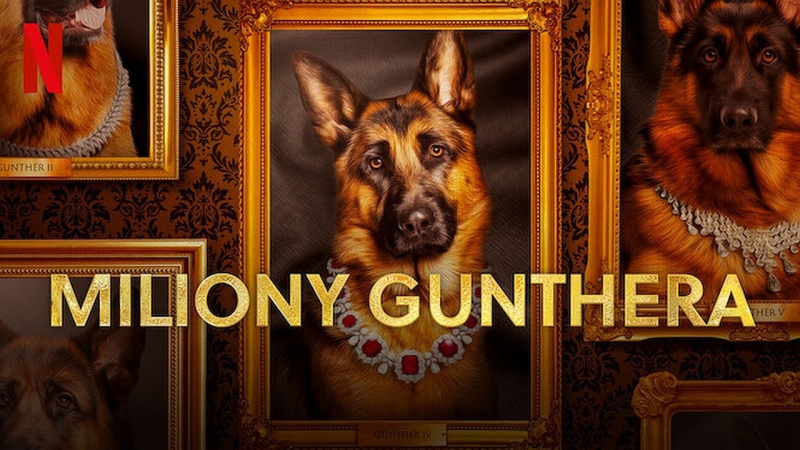 Obrazek w treści Miliony Gunthera - gorszący miniserial dokumentalny o psie milionerze trafił na Netflix  [jpg]