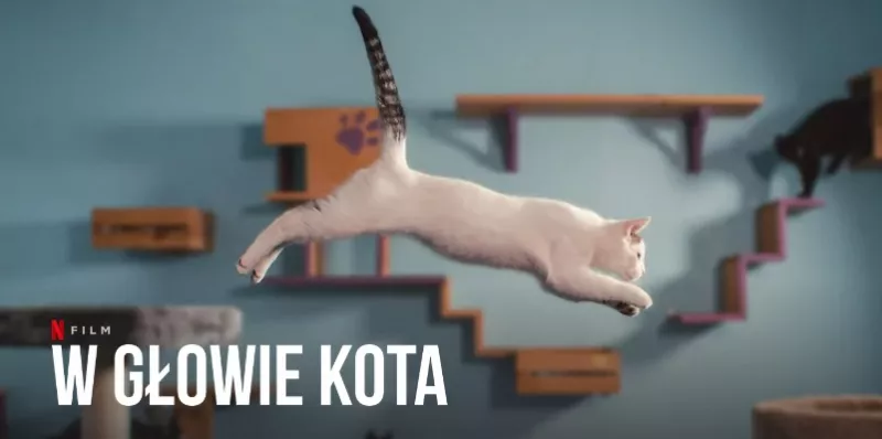 Obrazek w treści W głowie kota - uroczy dokument o równie uroczych zwierzętach już na Netflix  [jpg]